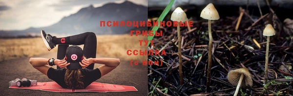 винт Белокуриха